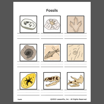 Fossils