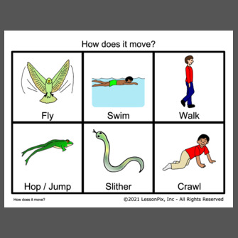 How+does+it+move