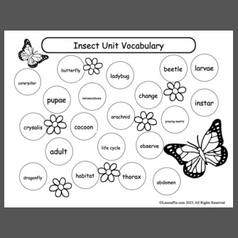 Insect+unit+vocabulary