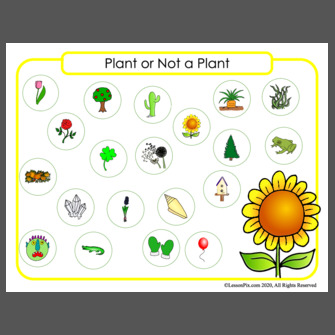 Plant+or+not+a+plant