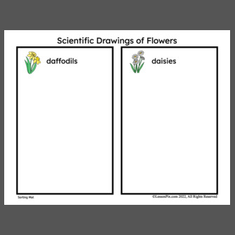 Scientific+drawings+of+flowers