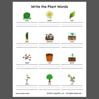 Write+the+plant+words