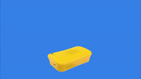Section2 Gif