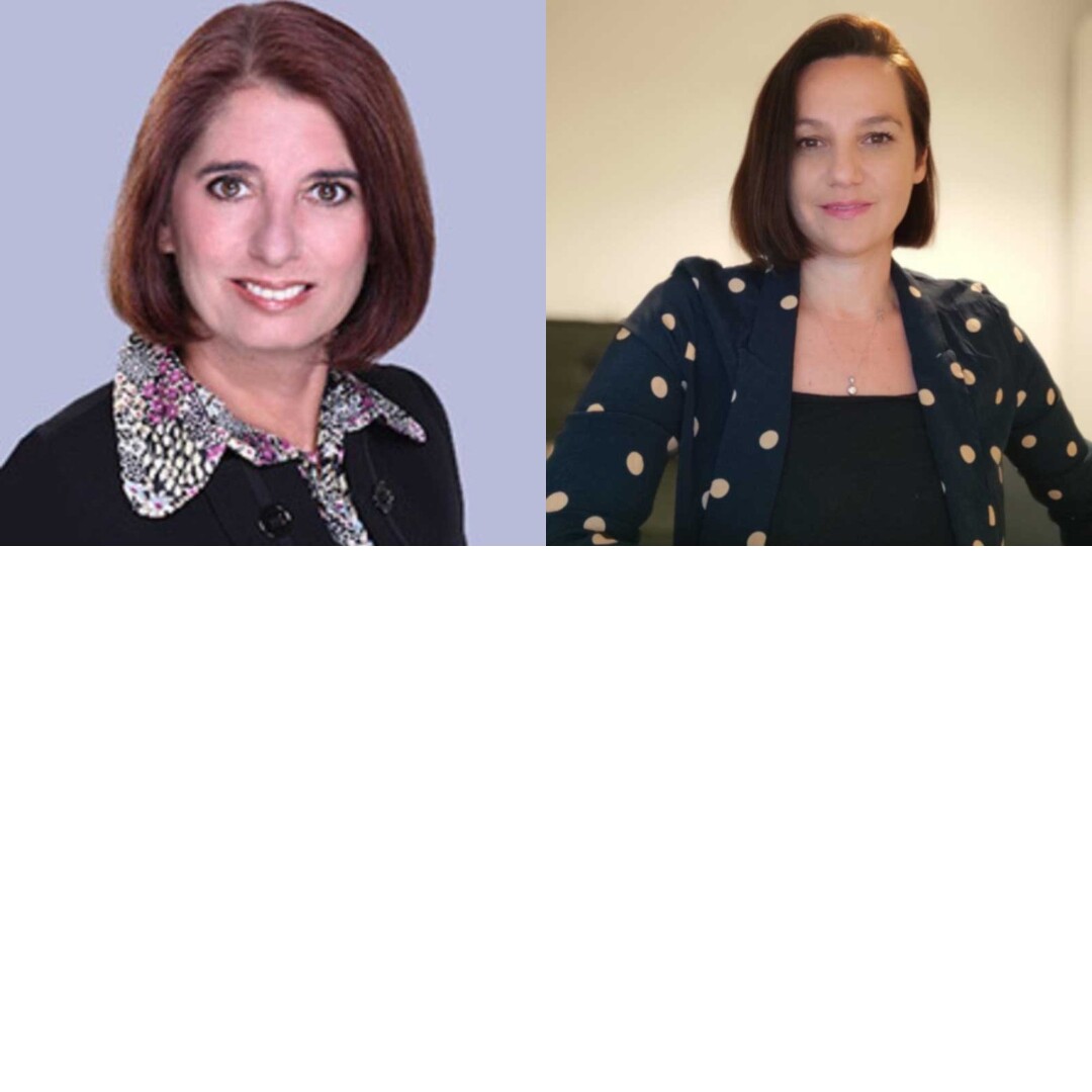 Leslie Lee, EdD. and Ioana Lazar, K-12