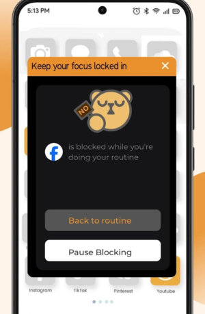 Block Distractions Clean