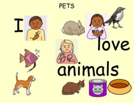 BSL Animals/Pets and Numbers Quiz Powerpoint Show