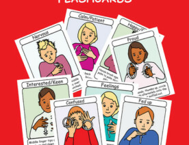 BSL Feelings & Emotions Flashcards Kindle